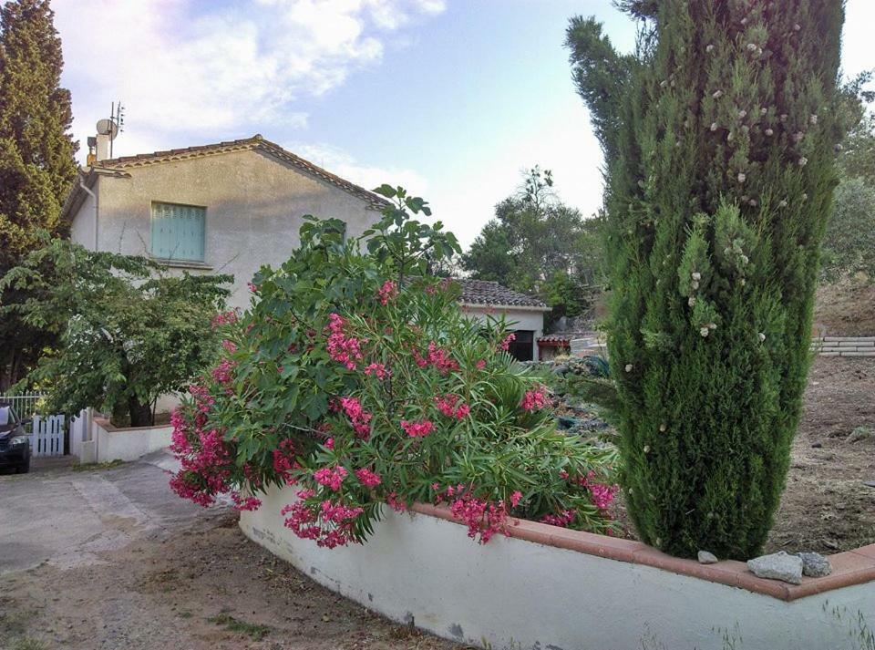 Gite Avec Vue Imprenable Sur La Cite Βίλα Καρκασόν Εξωτερικό φωτογραφία